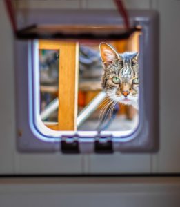 pose de chatière